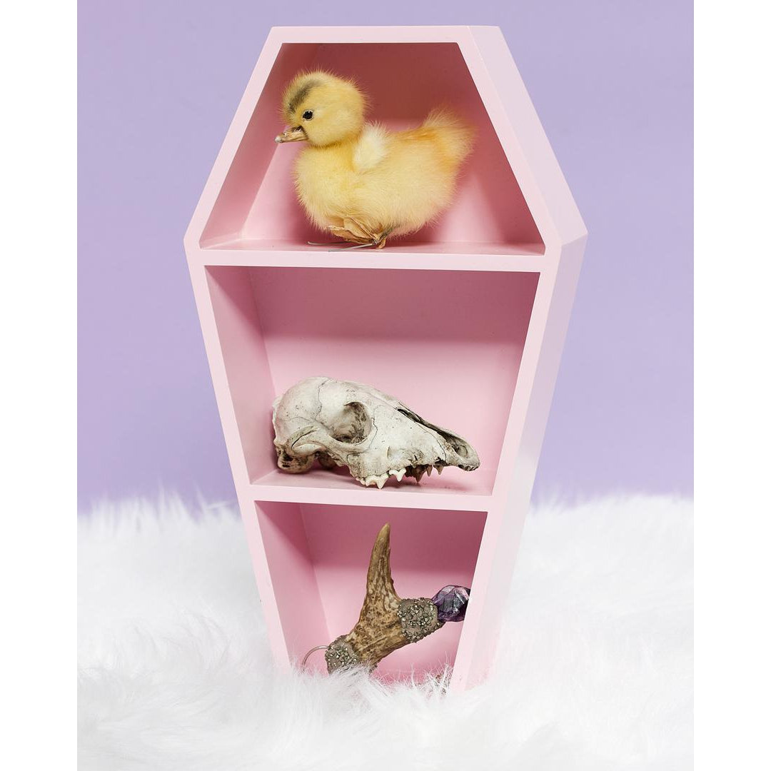 Coffin Shelf Pink-Coffin Shelves-Scarlett Dawn