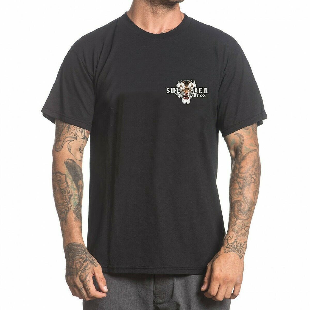 Caspian Premium Fit Mens T-Shirt-Mens T-Shirts & Tanks-Scarlett Dawn