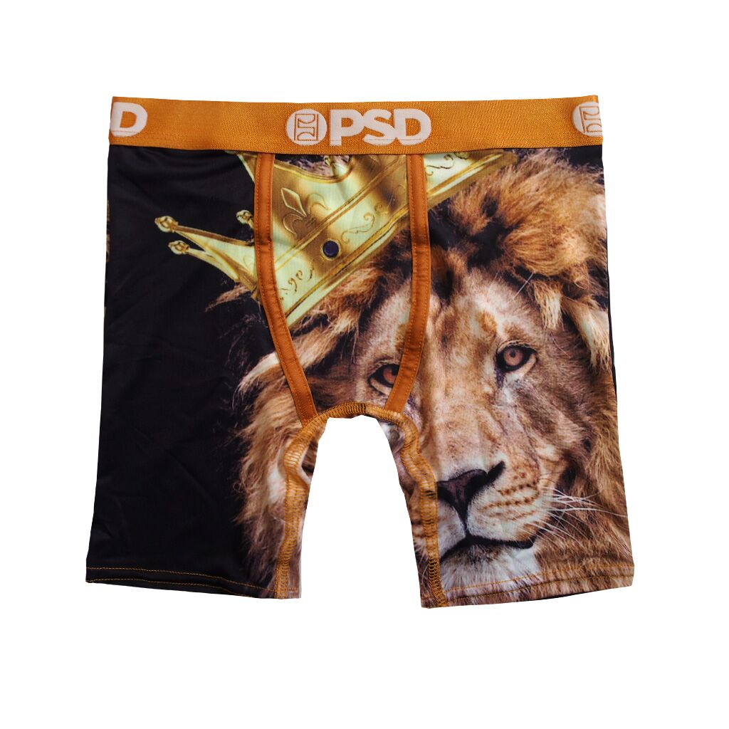 Lion King Youth Boxer Briefs-Baby, Toddler And Kids-Scarlett Dawn