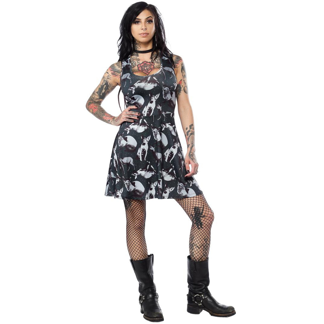 Sphynx Womens Skater Dress-Womens Dresses-Scarlett Dawn